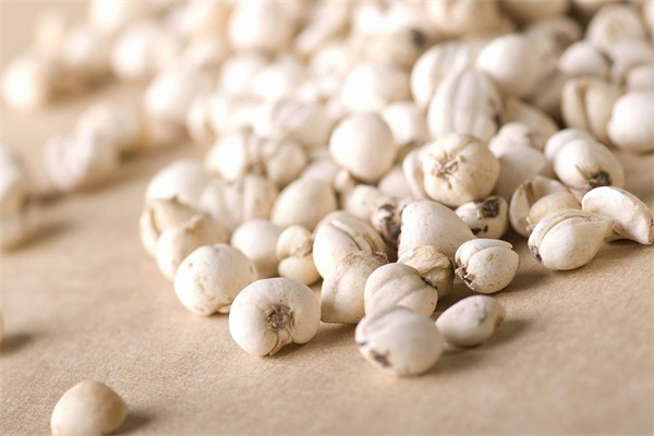 綠生藥業(yè) 專注天然養(yǎng)身，科技賦能保健食品新未來