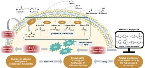 探明微塑料與液晶單體等新污染物微生物毒性效應(yīng)