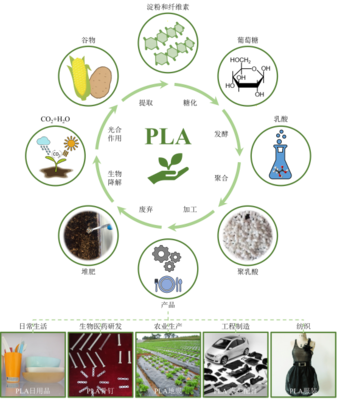 丁建勛 李鴻杰 楊佳臻(中國科學院長春應用化學研究所):新時代生物質(zhì)降解材料聚乳酸,助力綠色環(huán)保的&ldquo;未來之鑰&rdquo;_作品展示