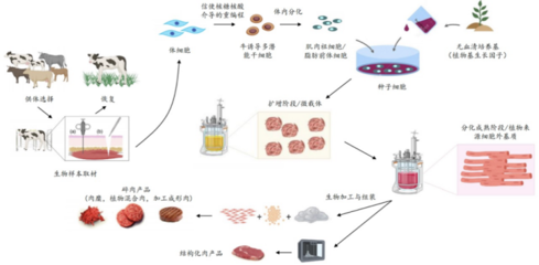 226起投融資、52個(gè)過億項(xiàng)目.食品飲料行業(yè)有哪些潛力賽道值得挖掘?
