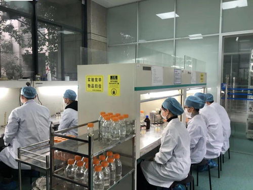 生物選考沖刺提分秘籍 高中生物實(shí)驗(yàn)訓(xùn)練營(yíng)寒假開啟，助力未來生物基材料技術(shù)研發(fā)