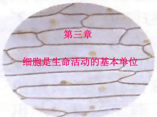 細(xì)胞與未來 探索生命的基本單位與生物基材料技術(shù)